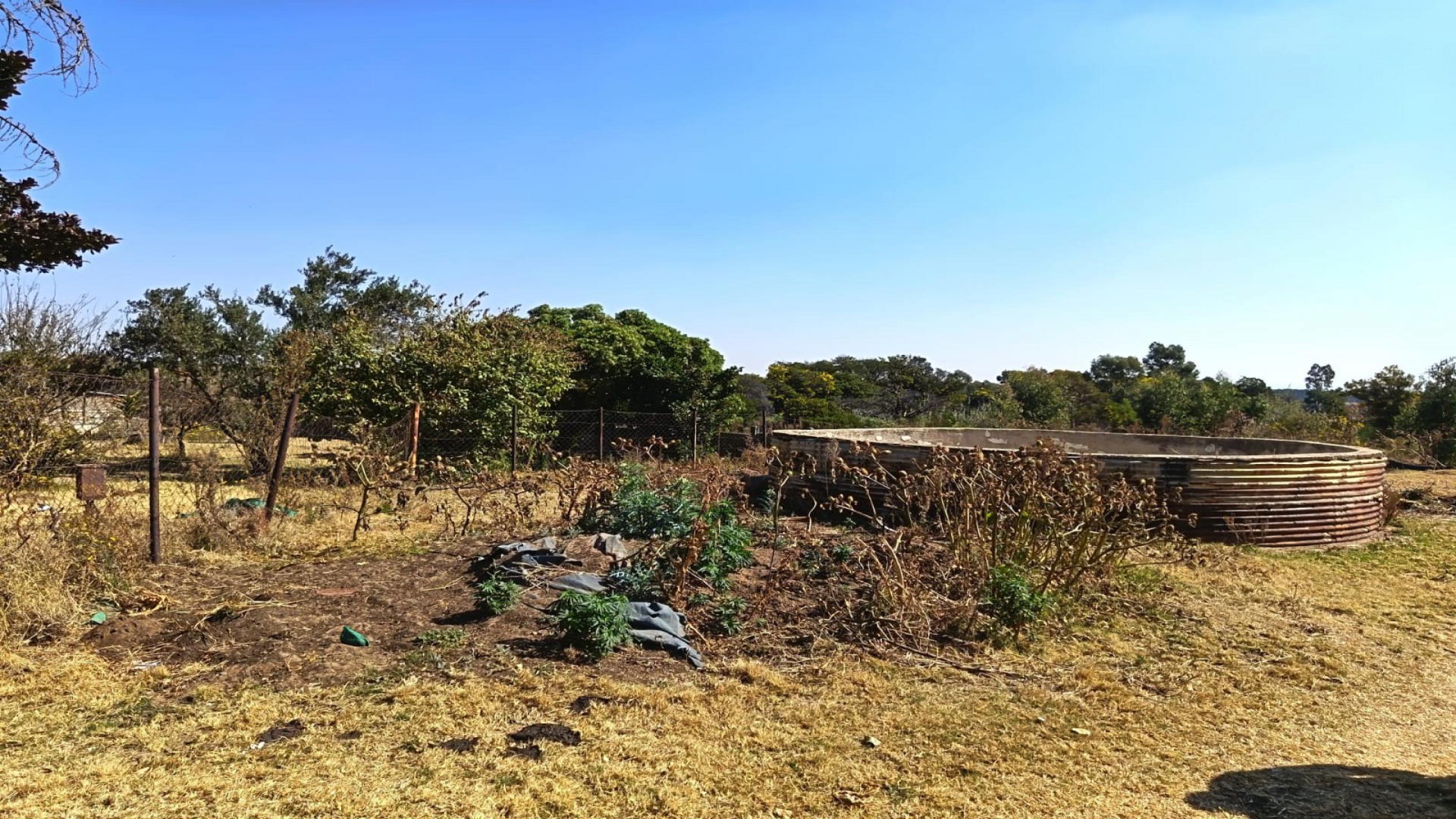 Spaces of property in Randfontein
