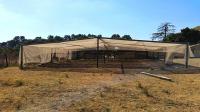Spaces of property in Randfontein