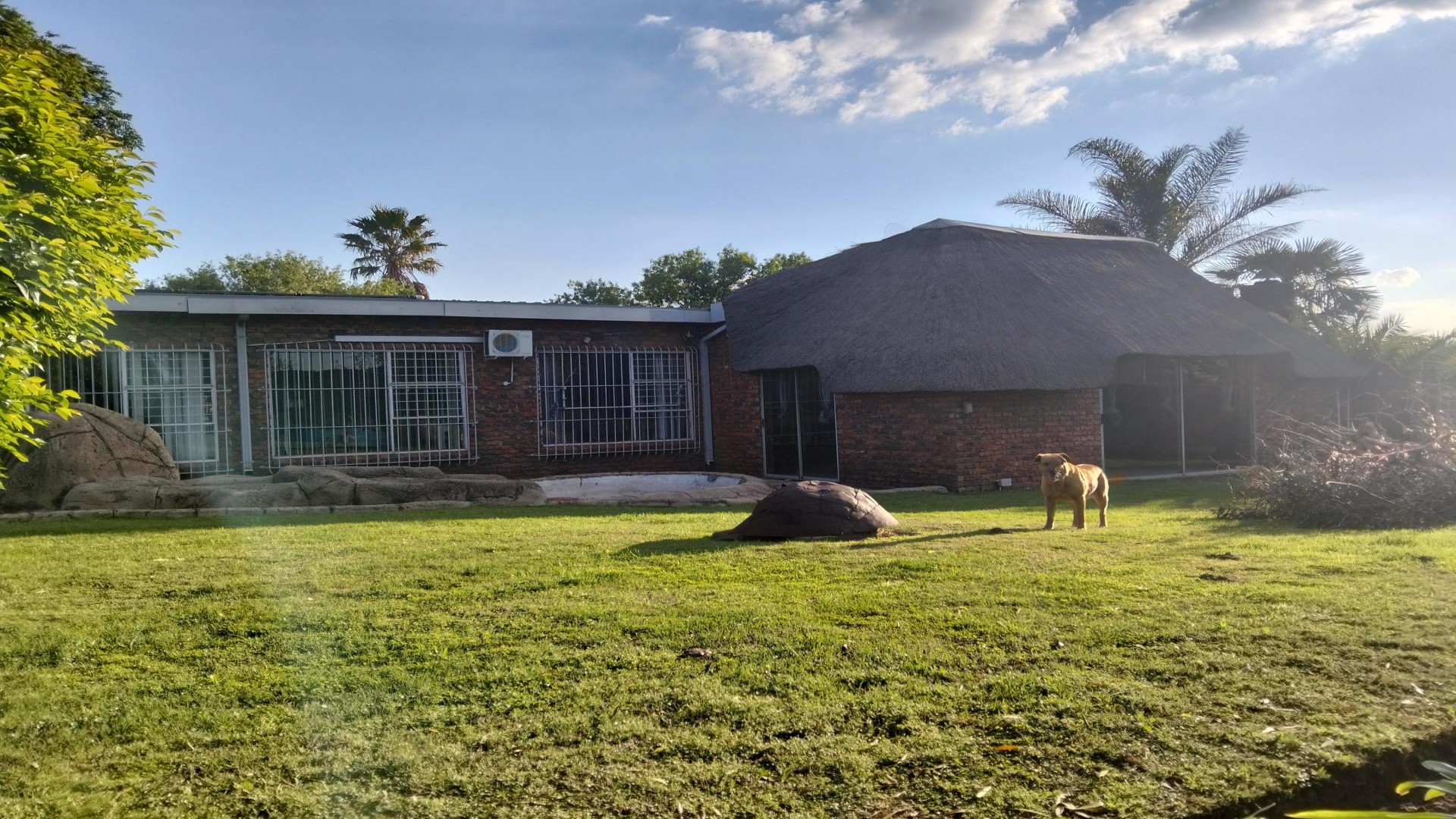 Backyard of property in Dalpark