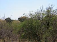  of property in Marloth Park