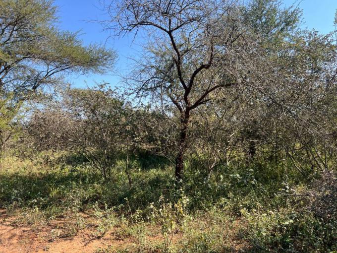 Land for Sale For Sale in Marloth Park - MR718624