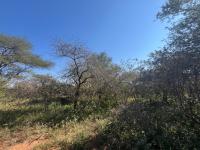  of property in Marloth Park