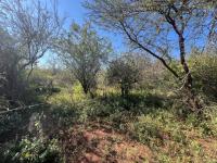  of property in Marloth Park