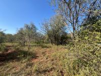  of property in Marloth Park
