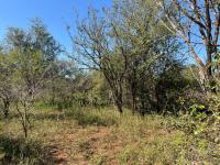  of property in Marloth Park
