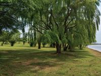  of property in Tweespruit