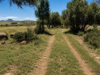  of property in Tweespruit