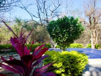  of property in Hoedspruit