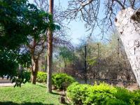  of property in Hoedspruit