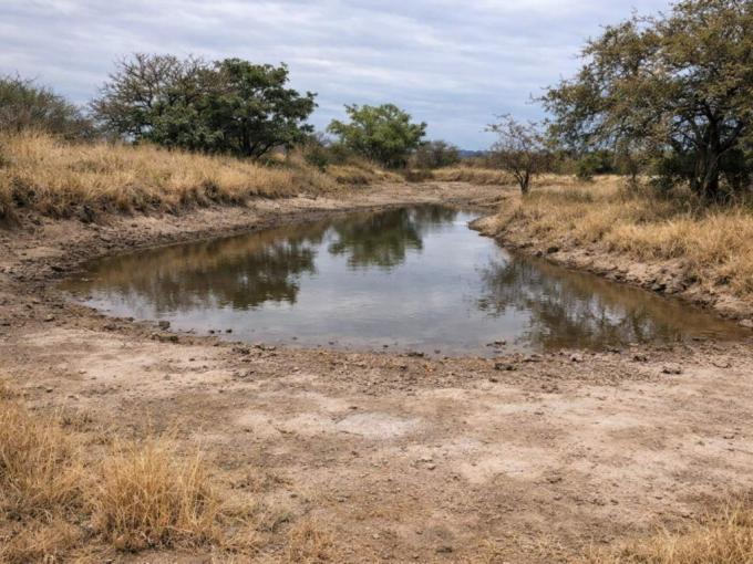 Farm for Sale For Sale in Polokwane - MR718819