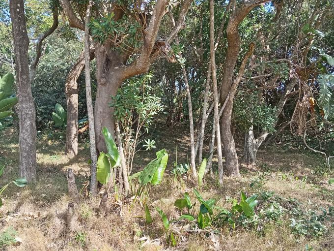 Land for Sale For Sale in Hibberdene - MR718996