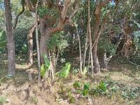  of property in Hibberdene