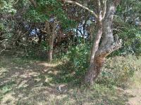  of property in Hibberdene