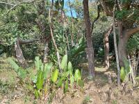  of property in Hibberdene