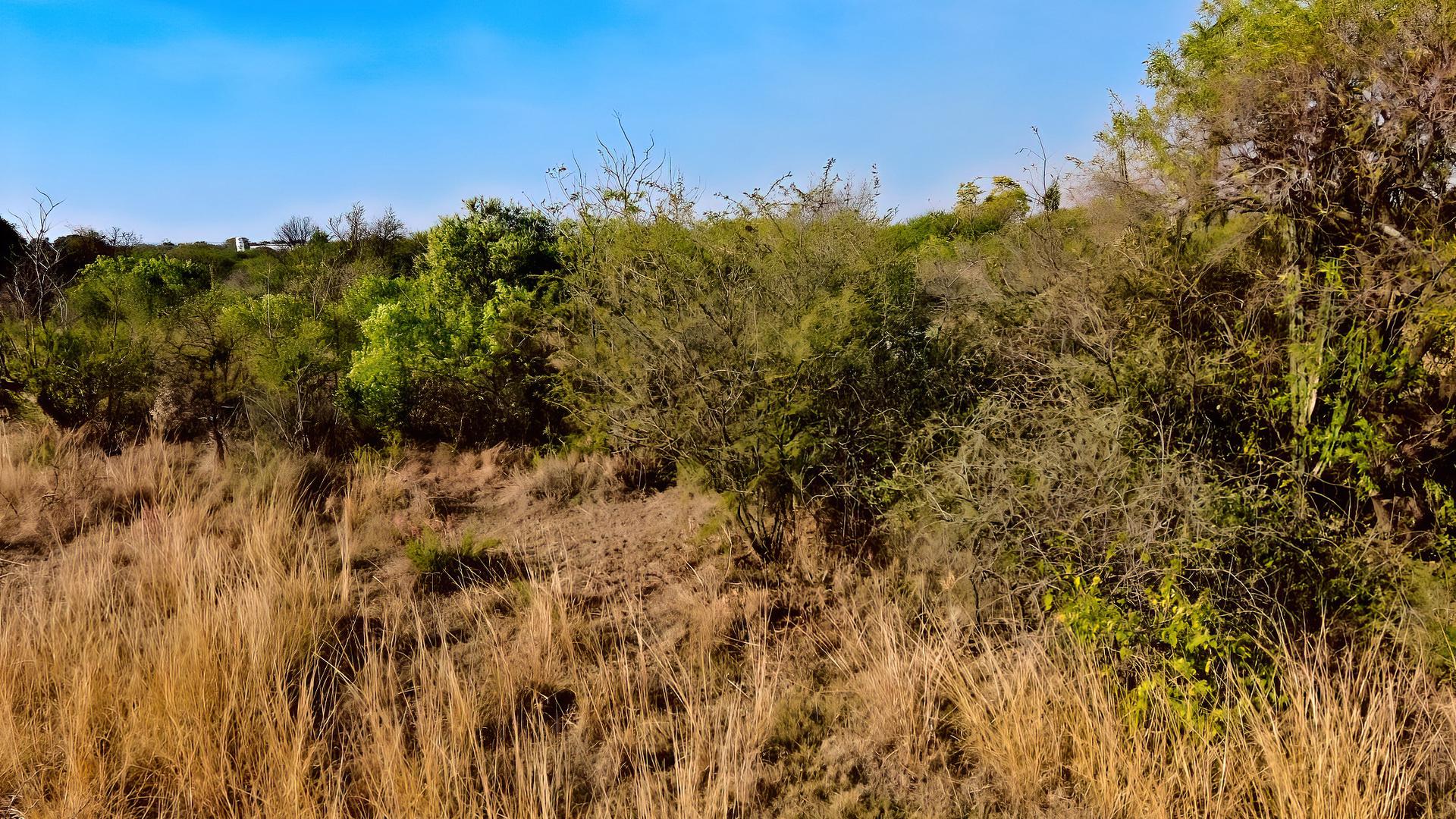  of property in Strydfontein