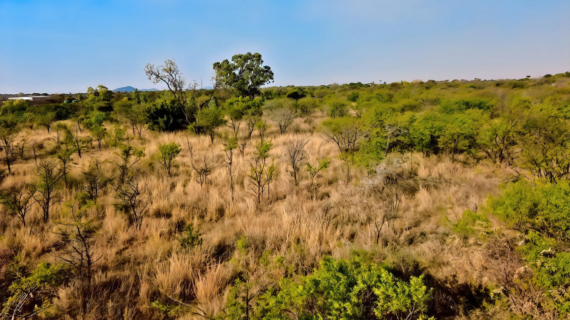  of property in Strydfontein