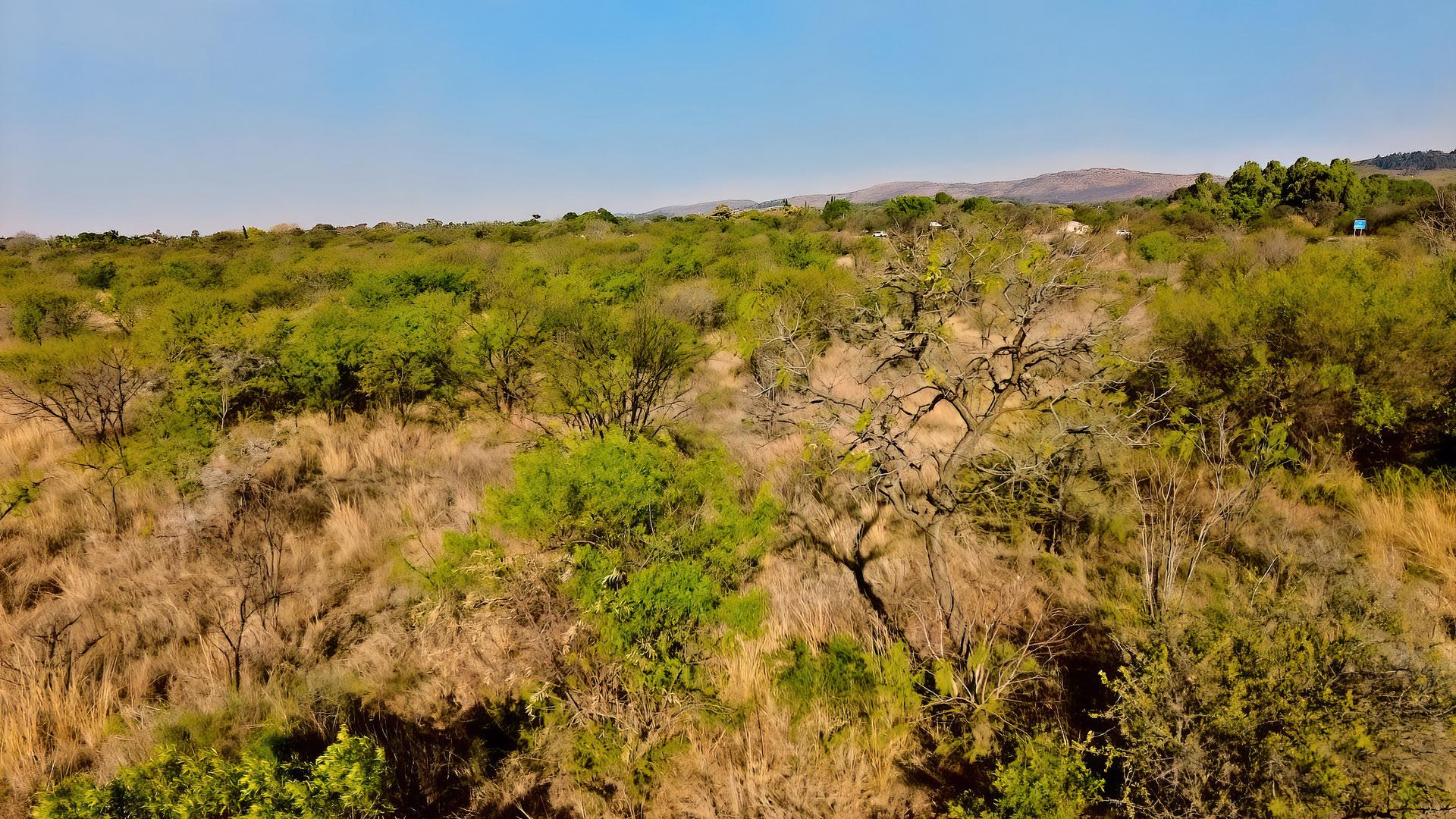  of property in Strydfontein