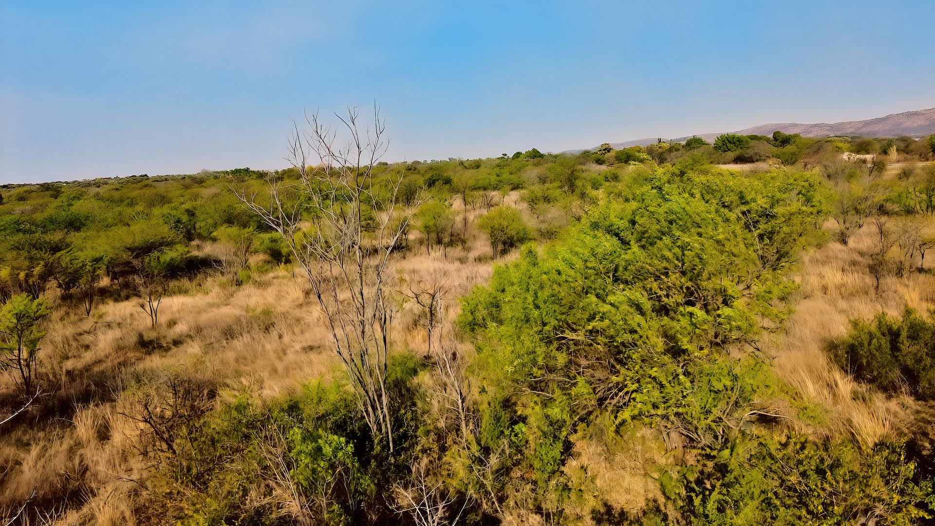  of property in Strydfontein