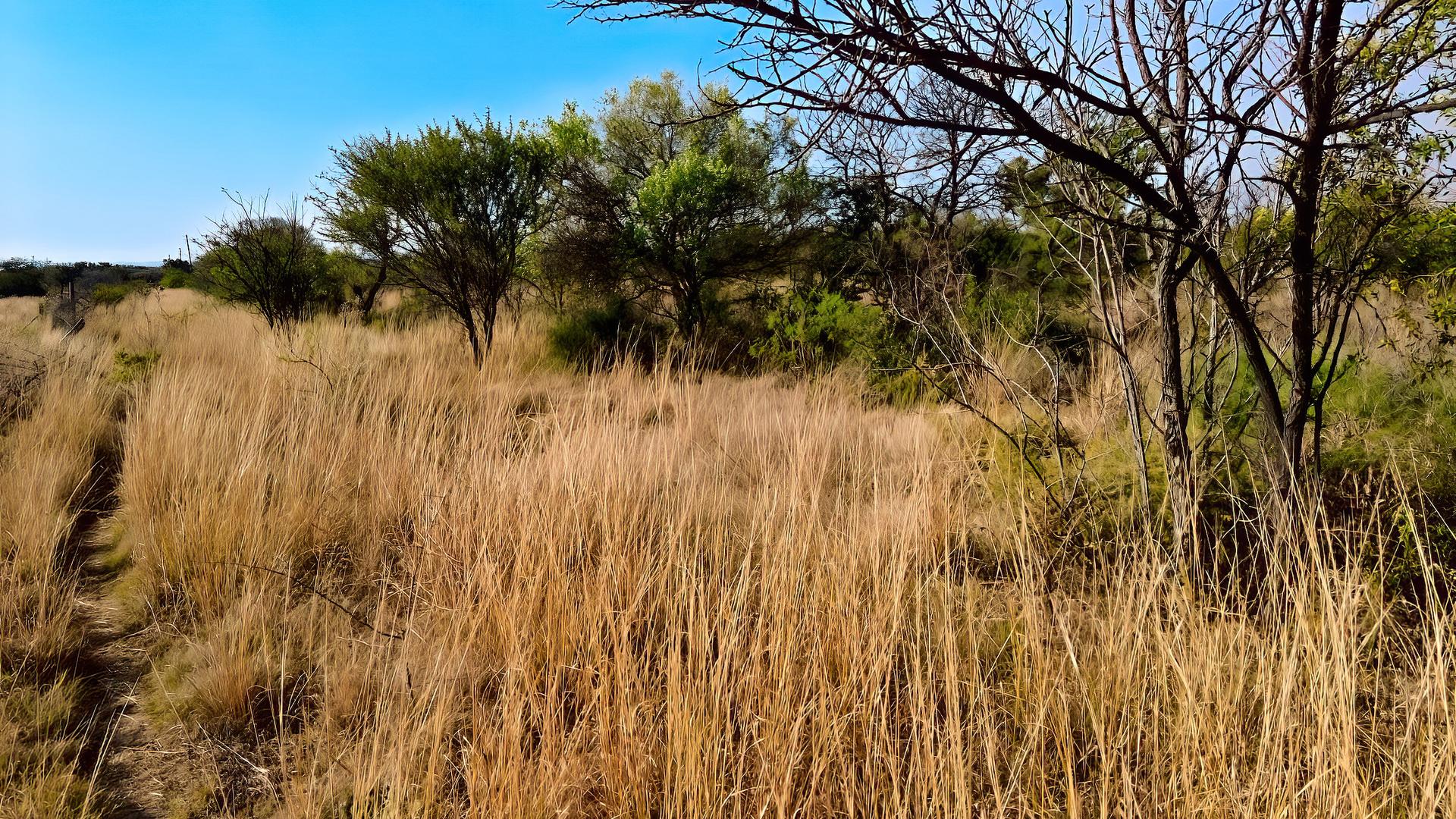  of property in Strydfontein