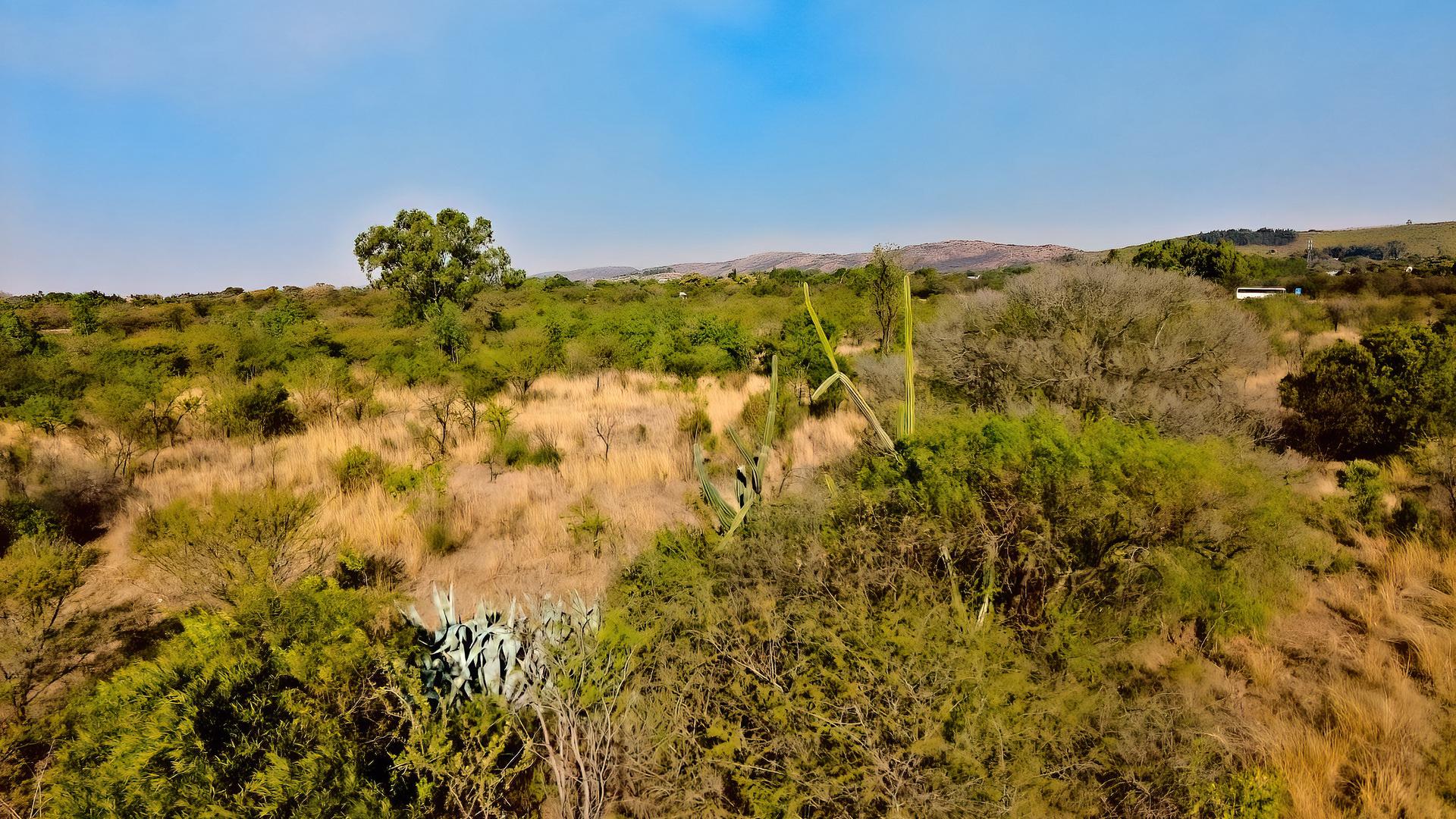  of property in Strydfontein