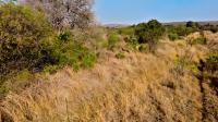  of property in Strydfontein