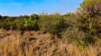  of property in Strydfontein
