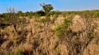  of property in Strydfontein