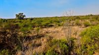  of property in Strydfontein