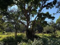  of property in Kampersrus A.H