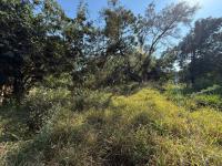  of property in Kampersrus A.H