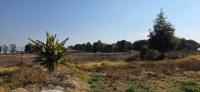  of property in Bapsfontein