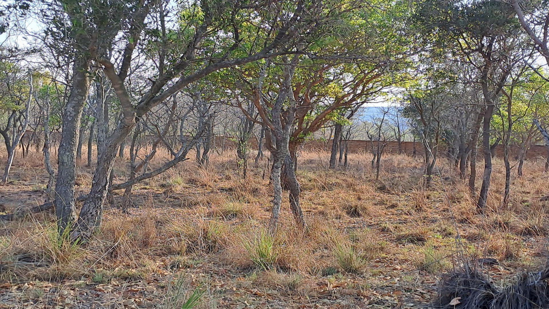 Front View of property in Modimolle (Nylstroom)
