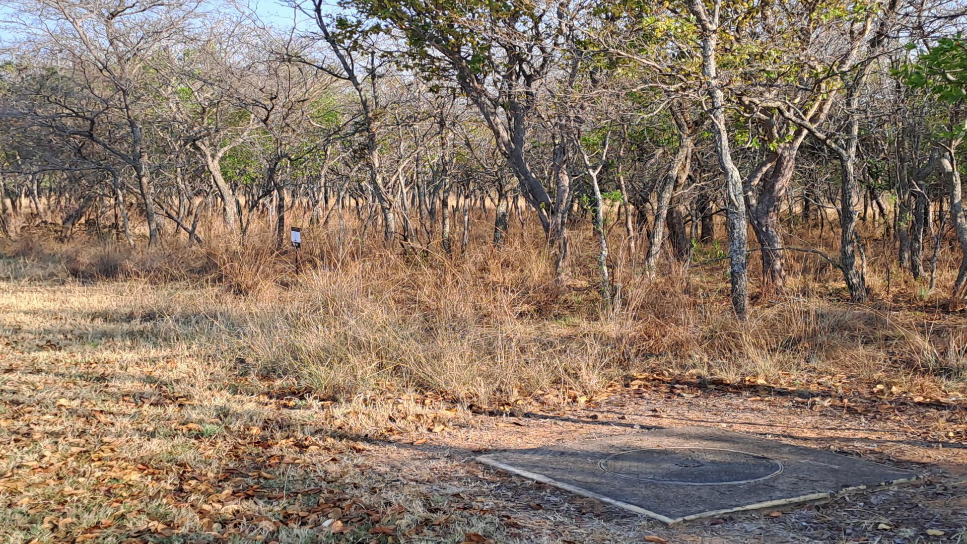 Front View of property in Modimolle (Nylstroom)