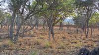 Front View of property in Modimolle (Nylstroom)