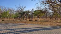 Front View of property in Modimolle (Nylstroom)