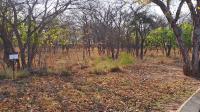Front View of property in Modimolle (Nylstroom)
