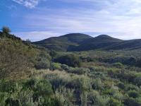  of property in Uniondale