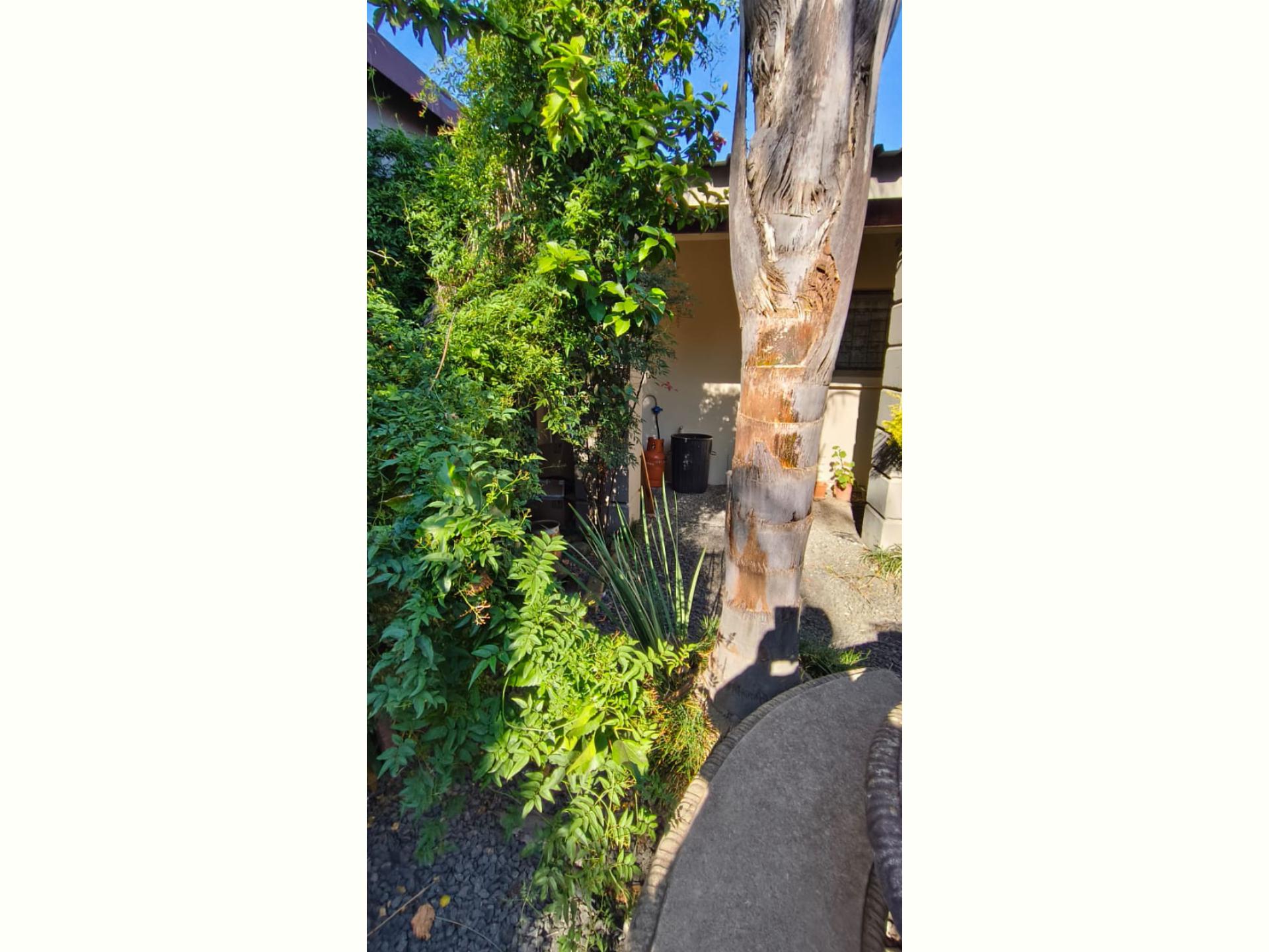  of property in Arbor Park