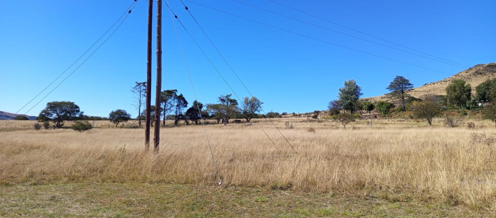  of property in Newcastle
