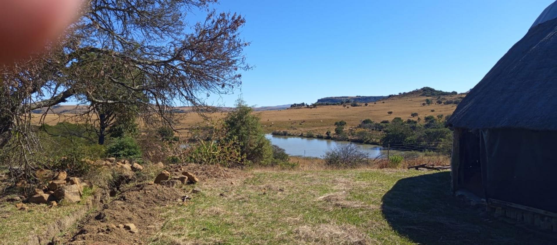  of property in Newcastle