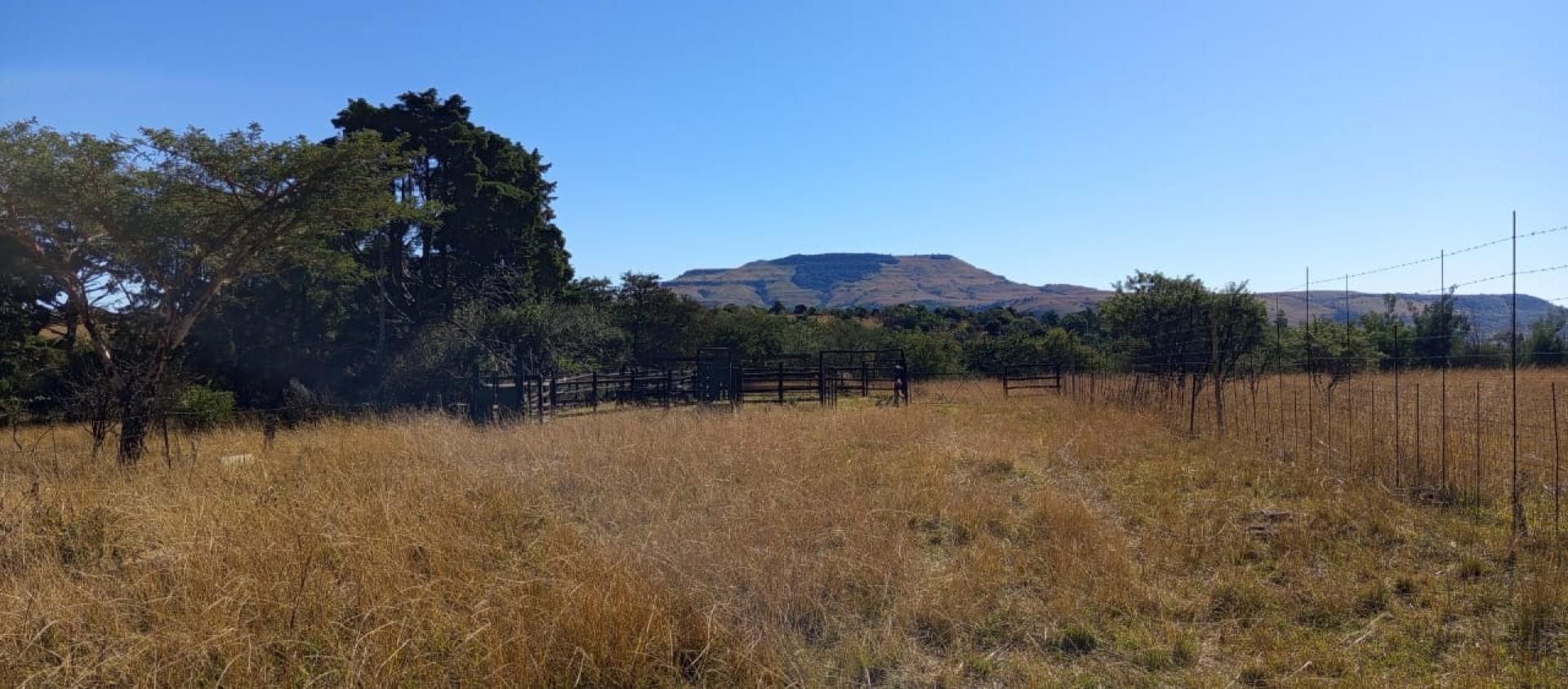  of property in Newcastle