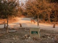  of property in Hoedspruit