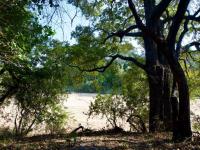  of property in Hoedspruit