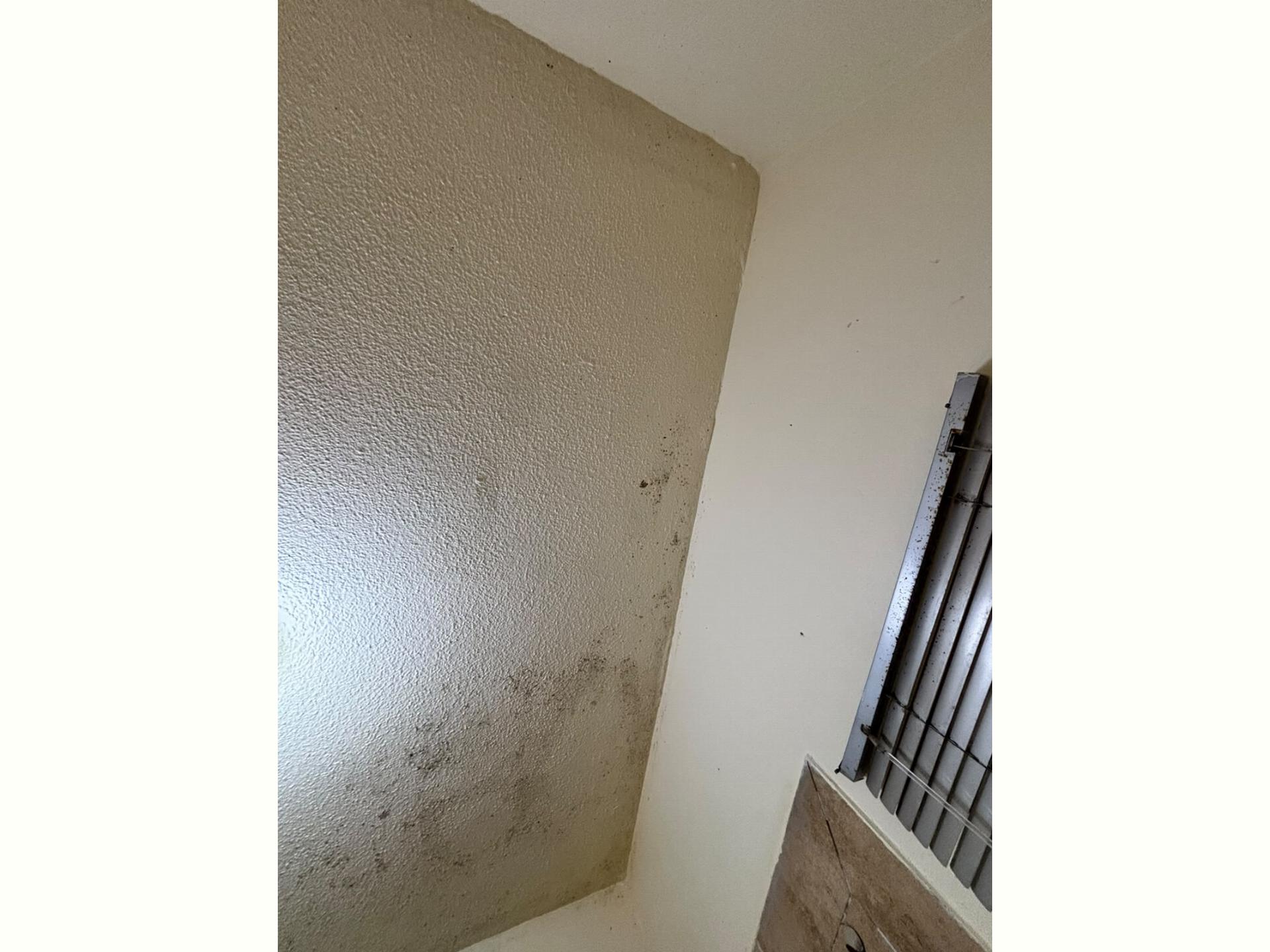  of property in Lone Hill