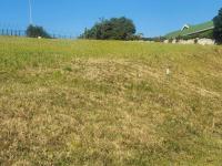  of property in Mount Edgecombe 