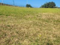  of property in Mount Edgecombe 