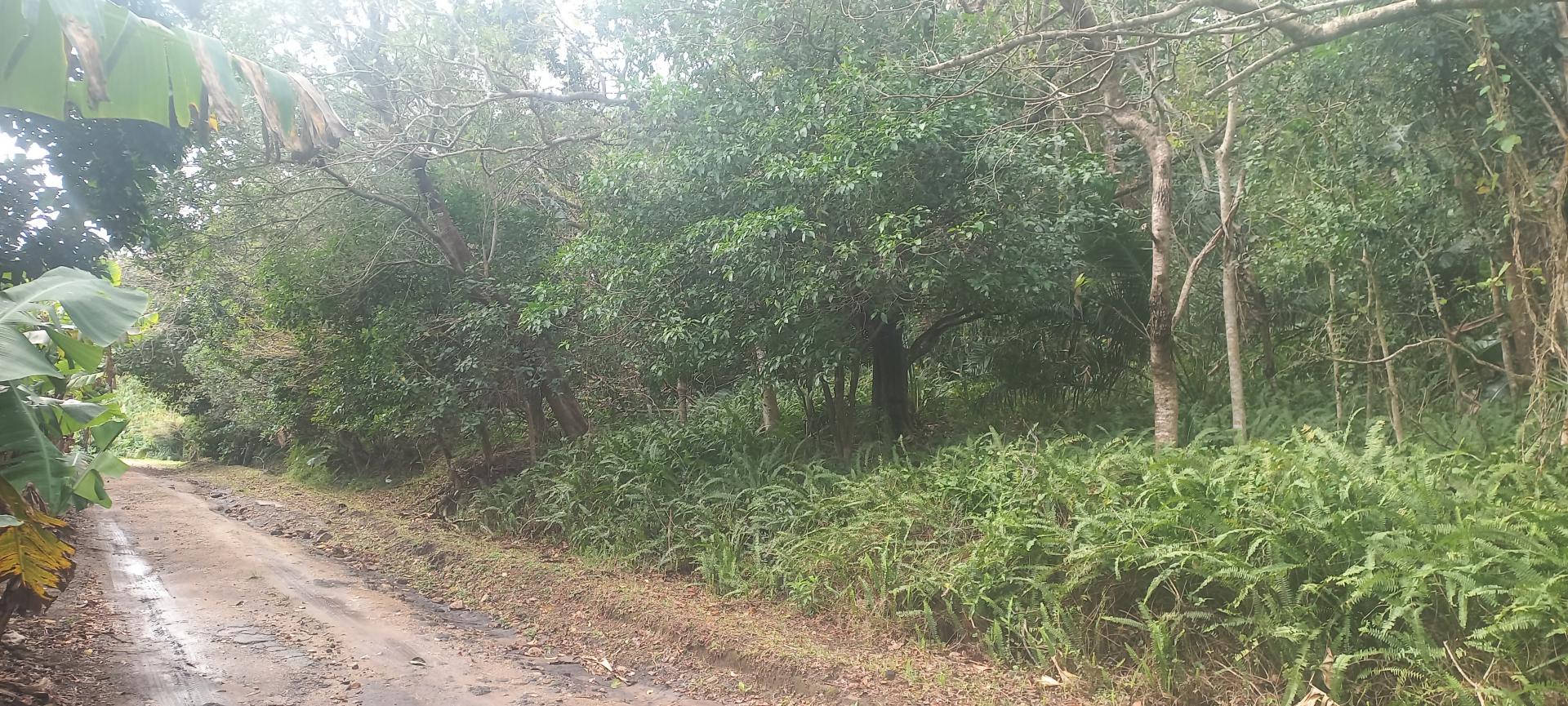 of property in Southbroom