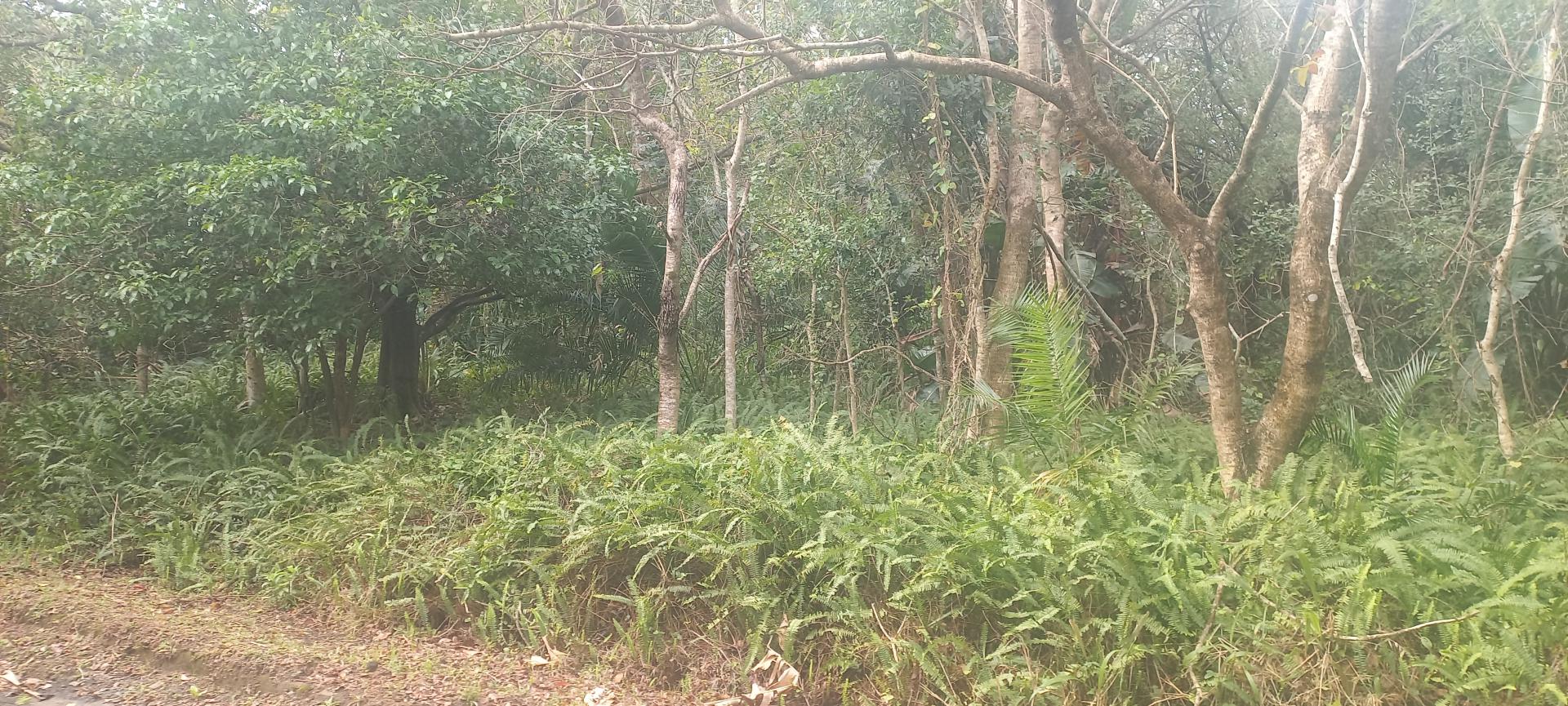 of property in Southbroom
