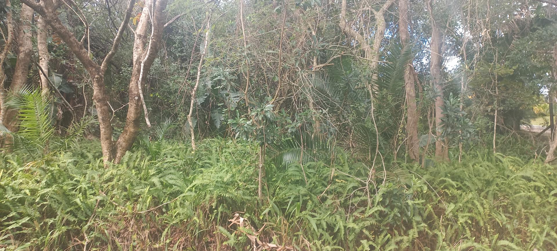  of property in Southbroom