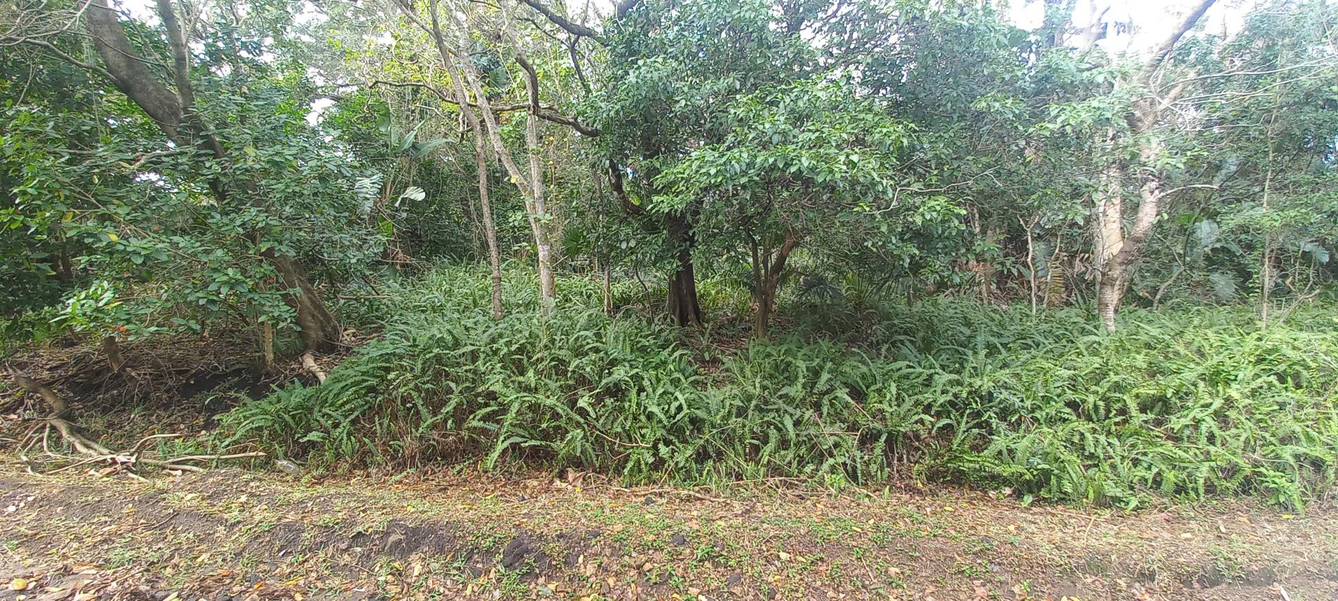  of property in Southbroom